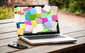 professional organizer