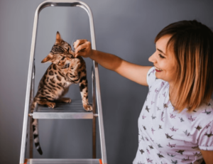 Una padrona che gioca con il suo gatto che si è arrampicato su una scala di ferro