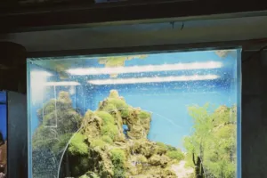 come traslocare un acquario marino